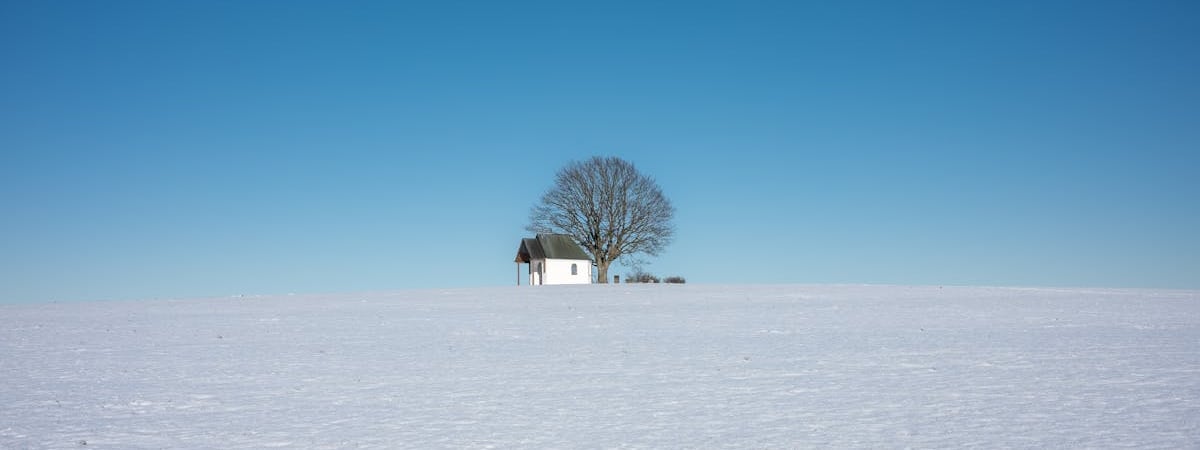 МИД ФРГ осудил репрессии в Беларуси во время «выборов»