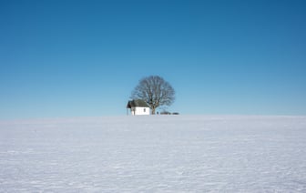МИД ФРГ осудил репрессии в Беларуси во время «выборов»