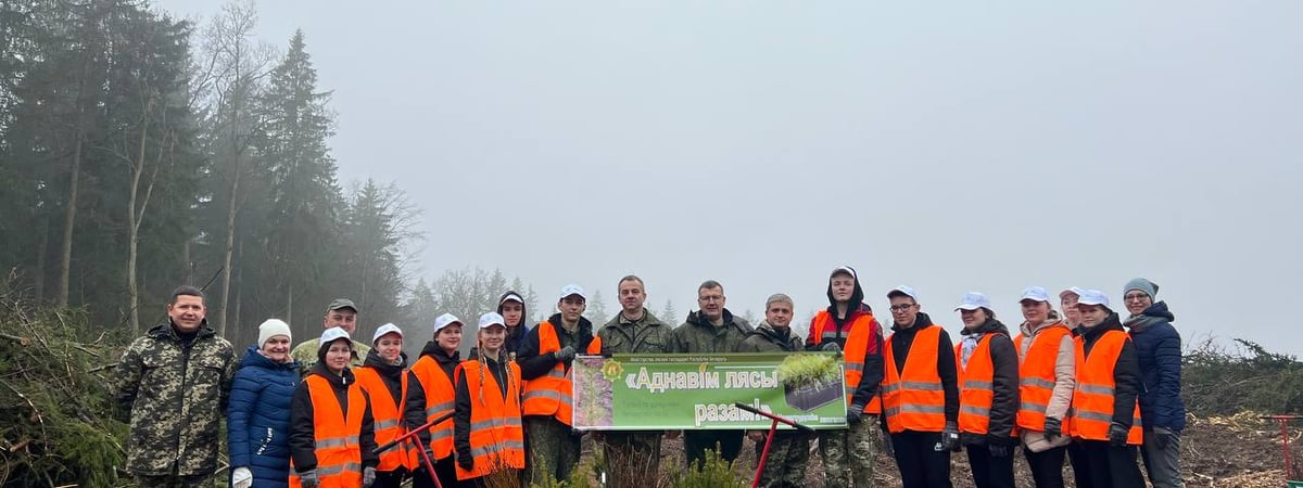 В Гродненской области стартовала акция по восстановлению лесов
