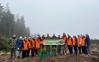В Гродненской области стартовала акция по восстановлению лесов