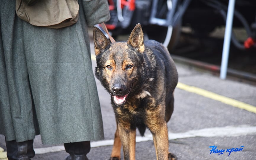 В Барановичах высадился десант немецких солдат. Идет съемка телефильма