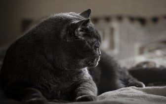 В возрасте 112 лет умер самый старый мужчина в мире