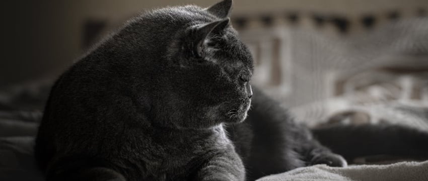 В возрасте 112 лет умер самый старый мужчина в мире