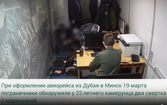 «Для блеска бороды» — Белорусские пограничники задержали камерунца с марихуаной в аэропорту «Минск» — Видео