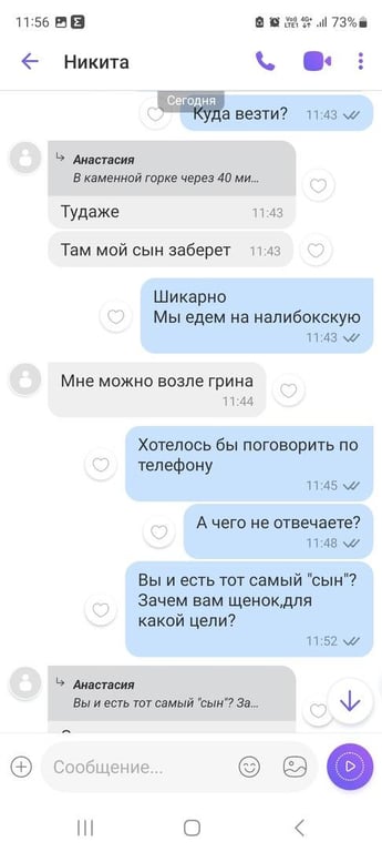 «Делают взрослый голос, врут про маму». Зачем школьникам массово понадобились щенки?