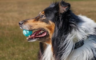 Экс-глава МАРТ ушел в отставку с поста замглавы аппарата Совмина