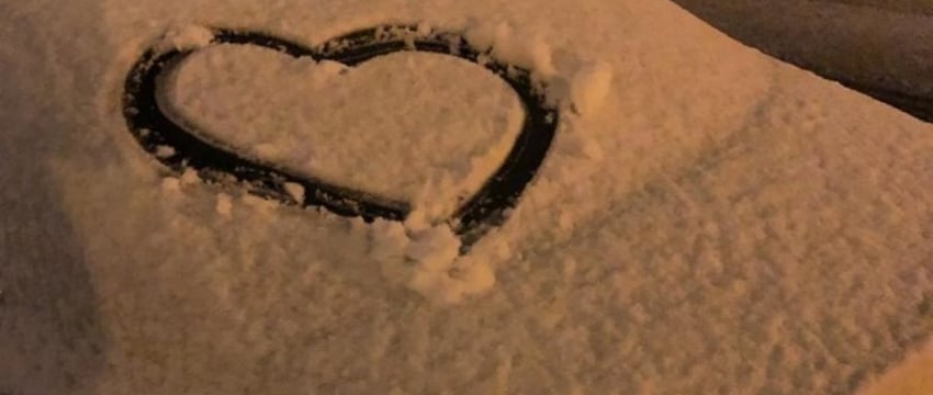 В двух областях Беларуси выпал снег