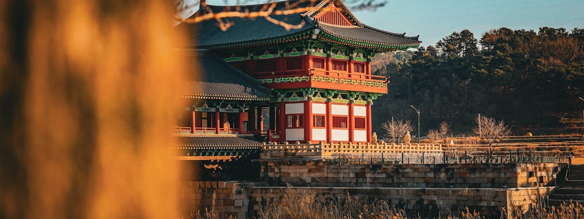 После самой смертоносной катастрофы в Южной Корее проверят всю авиасистему