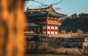 После самой смертоносной катастрофы в Южной Корее проверят всю авиасистему