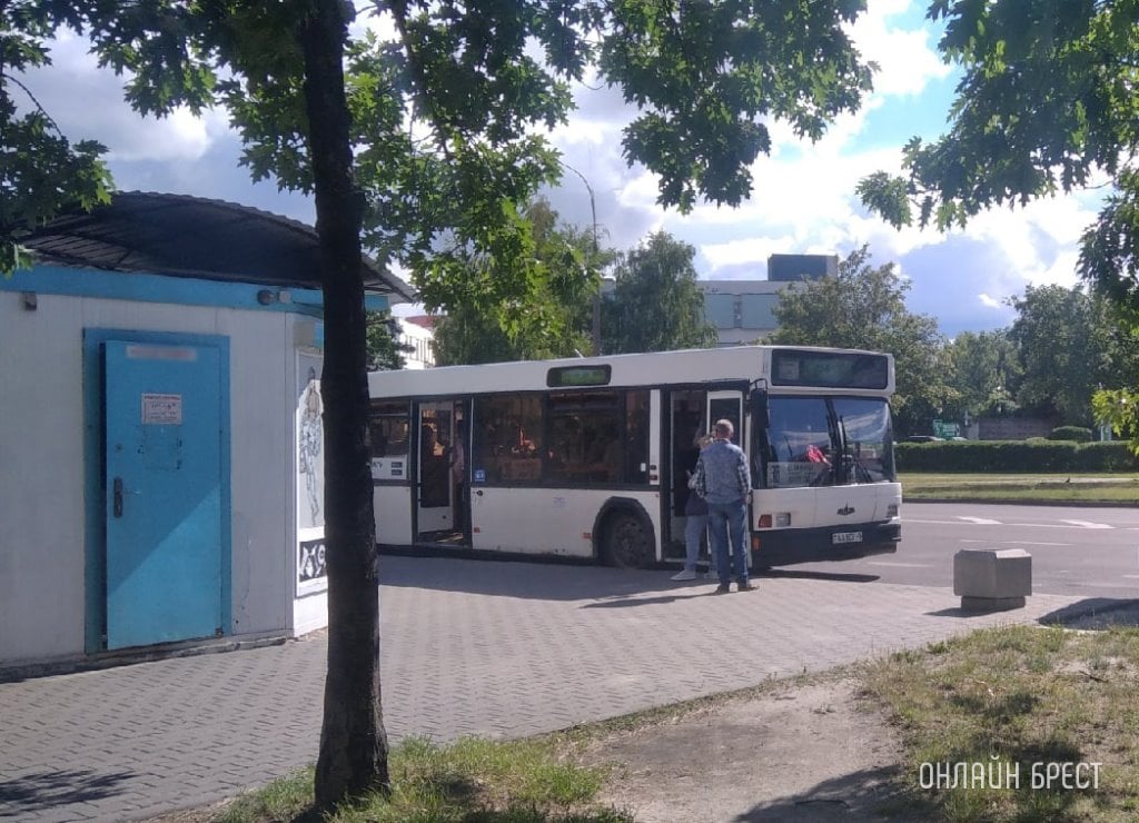 Фото носит иллюстративный характер