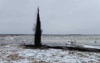 Жителей 17 деревень на Гомельщине предупредили об «абсолютно безопасных» звуках взрывов. Когда?