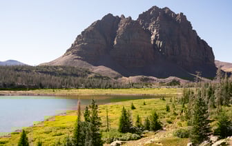 Крупнейшее в мире месторождение золота стоимостью $83 млрд нашли в Китае