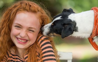 Cмотри, Гомель. Пять фильмов о дружбе с животными