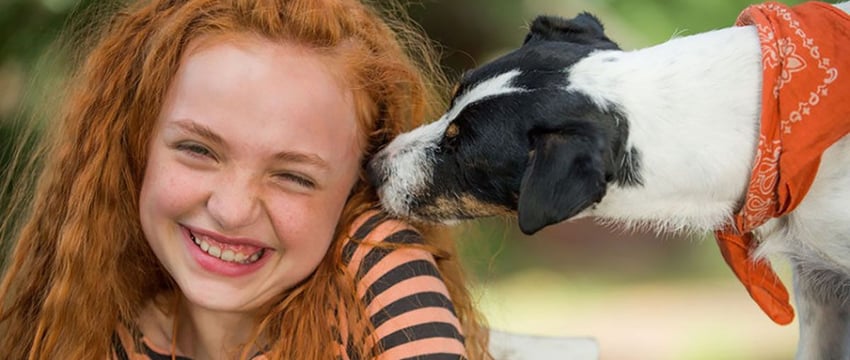 Cмотри, Гомель. Пять фильмов о дружбе с животными