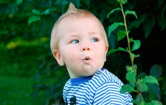 Детские конструкторы из дерева с опасным содержанием формальдегида продавали в Витебской области