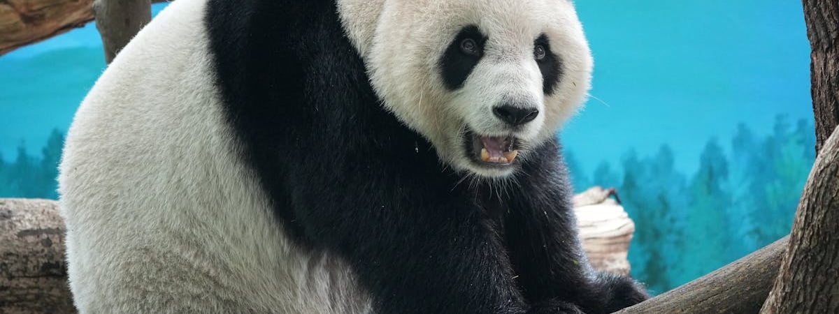 Экспорт Тайваня вырос на треть из-за опасений относительно пошлин Трампа и спроса на ИИ