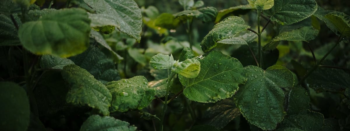 В Беларуси создали новое воинское подразделение из контрактников