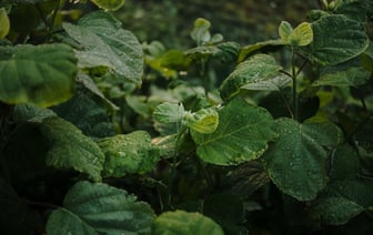 В Беларуси создали новое воинское подразделение из контрактников