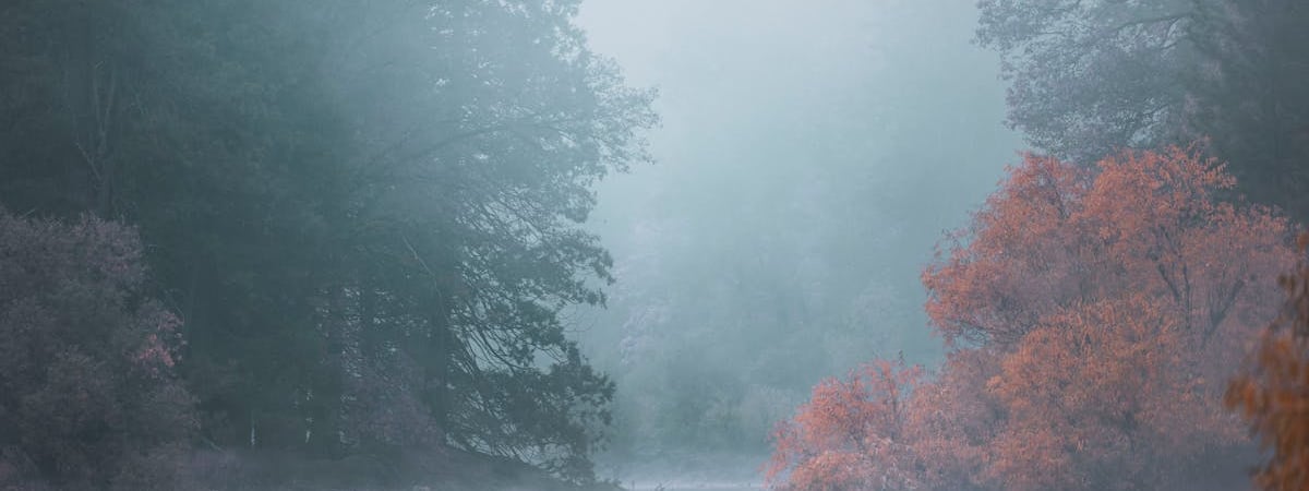 Китай запустит месячную кампанию по стимулированию потребления в 5 крупных городах