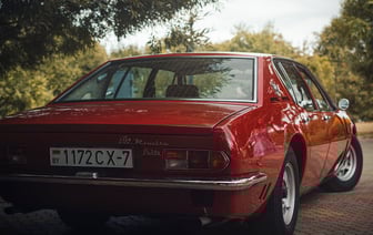 На дорогах области произошло более 400 ДТП с дикими животными. Что надо делать, если сбил лося или косулю?