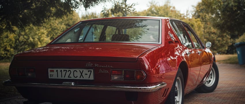 На дорогах области произошло более 400 ДТП с дикими животными. Что надо делать, если сбил лося или косулю?