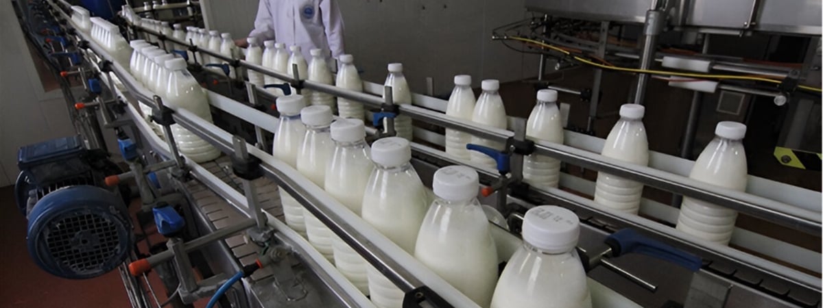 Россельхознадзор запретил ввоз молочной продукции популярного белорусского бренда — Официально