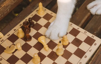 Телохранитель Месси, защищая футболиста, стал участником инцидента