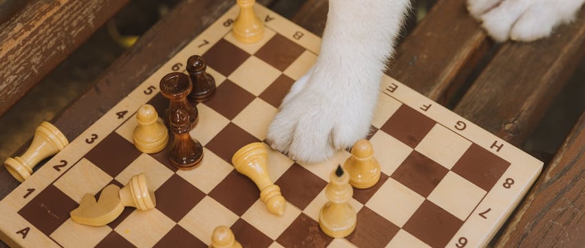 Телохранитель Месси, защищая футболиста, стал участником инцидента