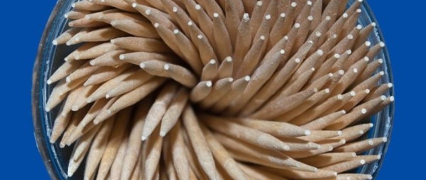 В Беларуси годовалый ребенок проглотил зубочистку