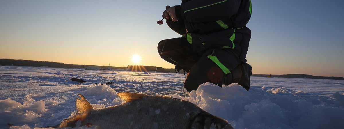 Штраф за рыбалку – до 1260 рублей. Минсельхозпрод расширил перечень зимовальных ям в Беларуси