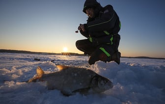 Штраф за рыбалку – до 1260 рублей. Минсельхозпрод расширил перечень зимовальных ям в Беларуси