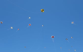 В Полоцке пройдет фестиваль органной музыки «Званы Сафіі». Смотрите программу