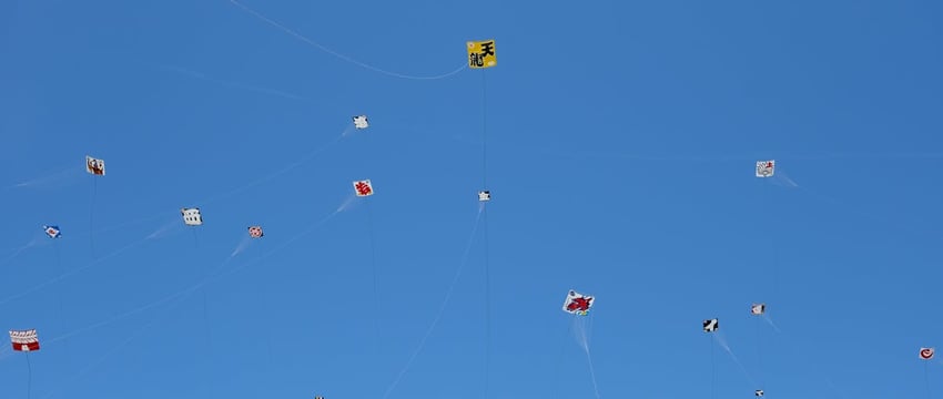 В Полоцке пройдет фестиваль органной музыки «Званы Сафіі». Смотрите программу