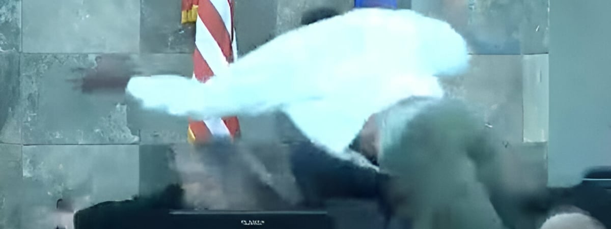 В США мужчина набросился на судью сразу же после отказа выпустить его под залог — Видео