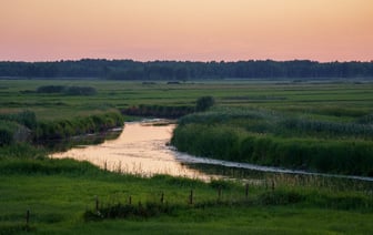 На территории Польши нашли два воздушных шара с контрабандными сигаретами