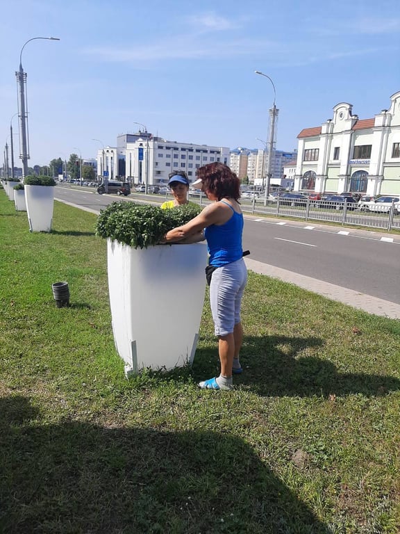 В Бресте специалисты ПКУП «Коммунальник» начали высадку осенних цветов