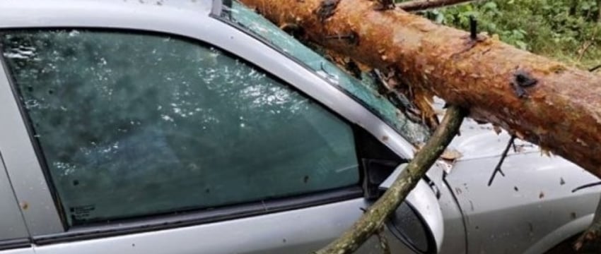 Что натворила непогода на Брестчине