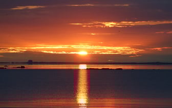 Биткоин приближается к отметке в $100 тыс.