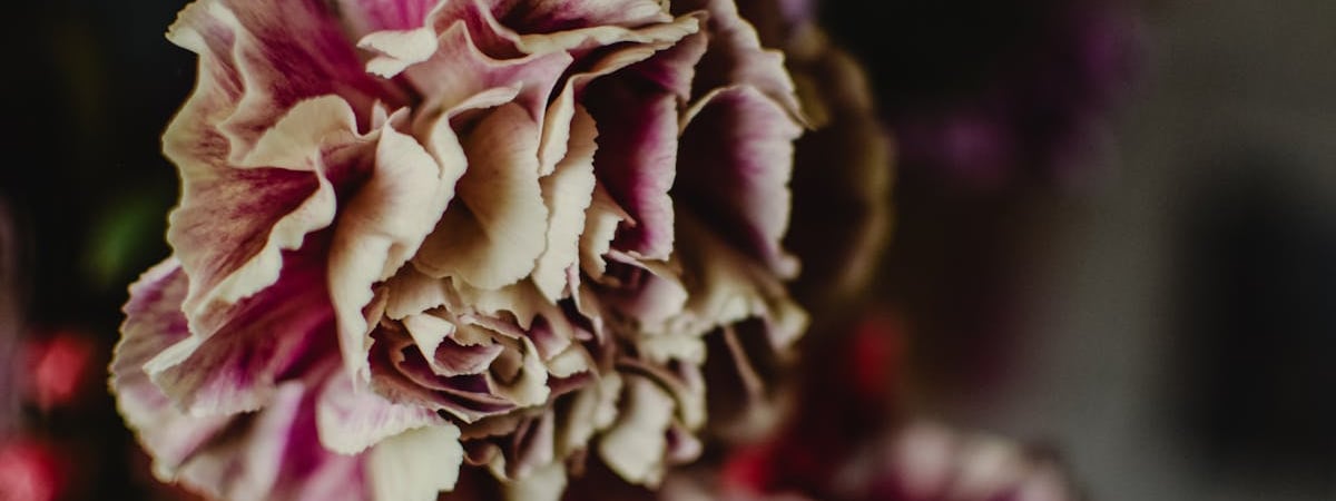 В Финляндии разместятся два штаба НАТО