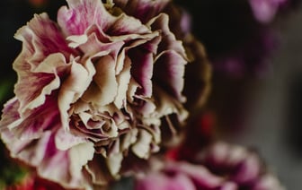 В Финляндии разместятся два штаба НАТО