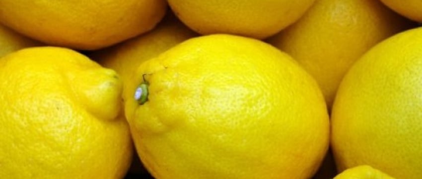 Как хранить лимоны, чтобы не портились – полезный совет