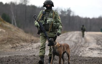 ГПК решил увольнять белорусских пограничников за дискредитацию госорганов — Официально