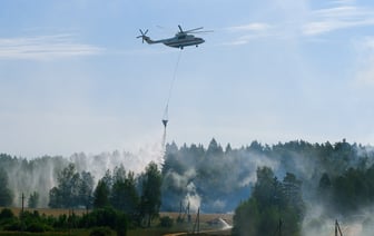 Из-за жары во всей Витебской области ограничено посещение лесов