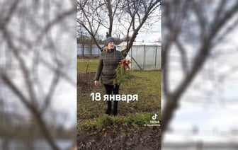 Белорусы похвастались урожаями с грядок в январе. А вы видели? — Видео