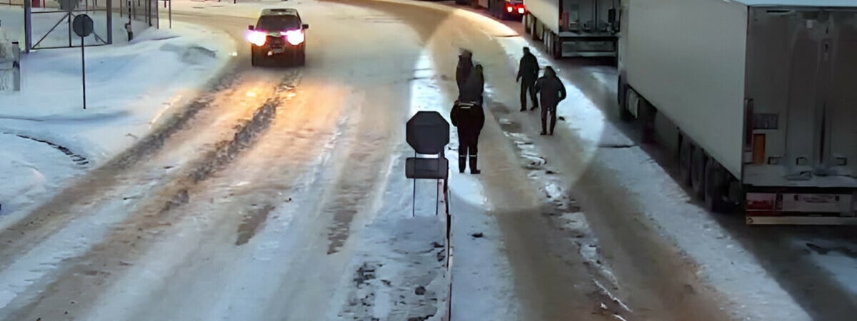 Из Беларуси в Литву пограничники экстрадировали собаку. Что случилось? — Видео