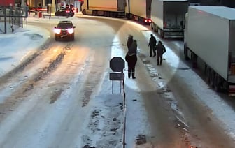 Из Беларуси в Литву пограничники экстрадировали собаку. Что случилось? — Видео