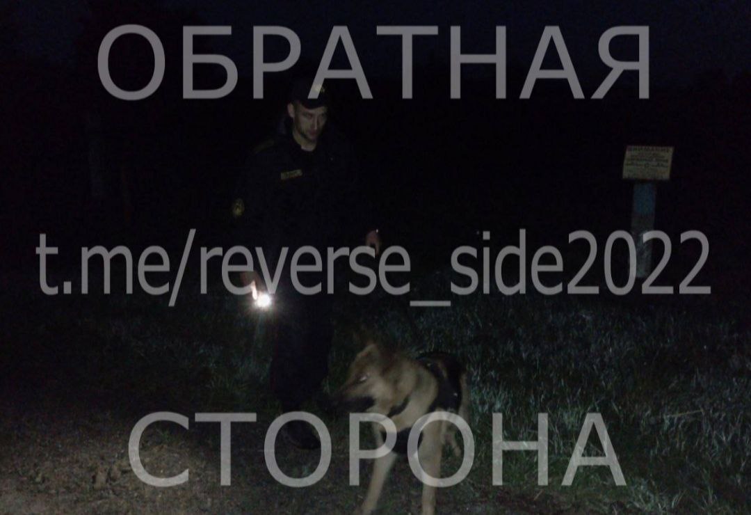 Потерявшиеся девочки зашли к одинокому мужчине зарядить телефон. В Брестской области нашли пропавших детей