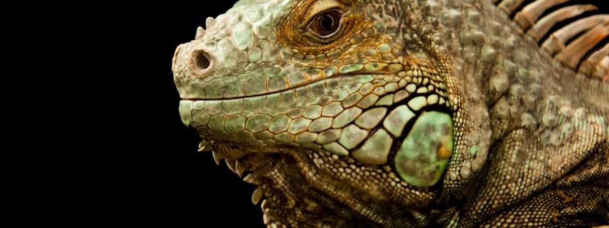 Биржа грузоперевозок ATI.SU помогает быстро найти подходящего посредника