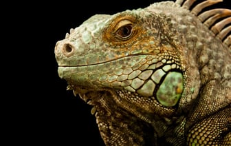 Биржа грузоперевозок ATI.SU помогает быстро найти подходящего посредника