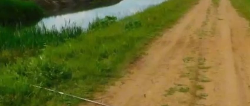 В Беларуси рыбак зацепил удочкой провода линий электропередачи и погиб от удара током